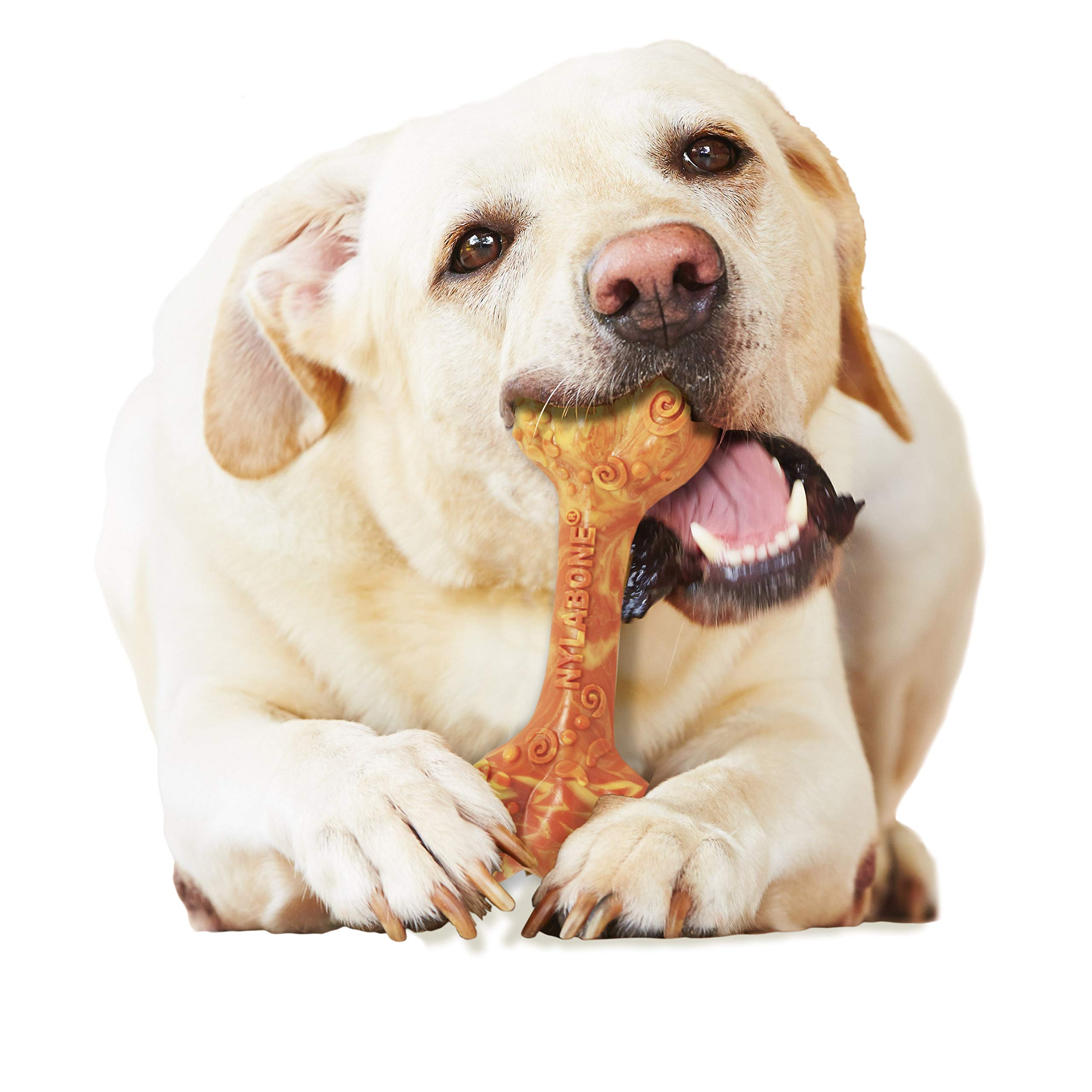 Nylabone Power Chew Flavor Frenzy Bone Chew Toy for Dogs, Indestructible Chew Toys for Aggressive Chewers, Bacon Flavor, X-Large/Souper - 50+ lbs. (1 Count)