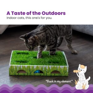 Catstages Grass Patch Hunting Box Cat Toy