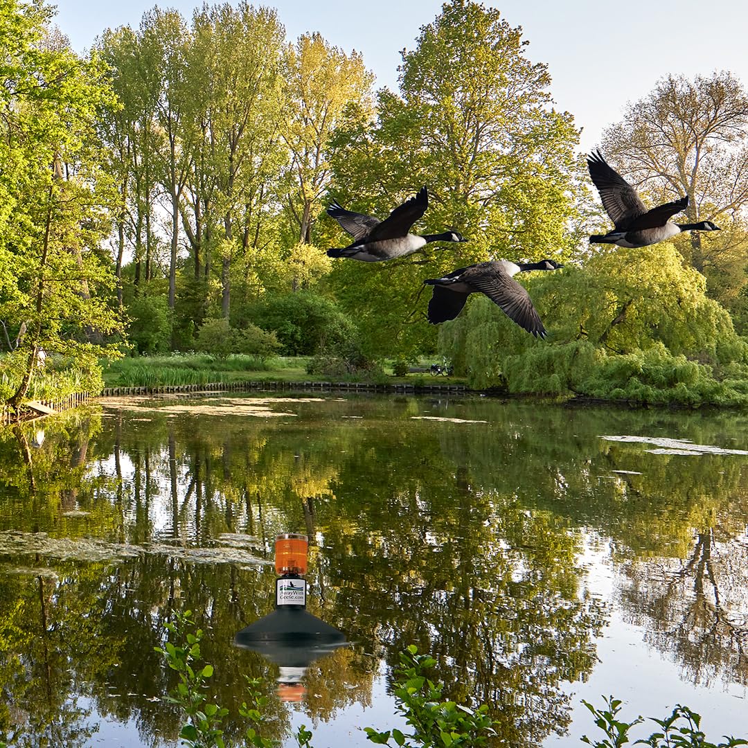 Outdoor Water Solutions Away with Geese Repellent (Water Based Unit)