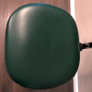 Premium Plus Dental Doctor Stool, 5012-Green