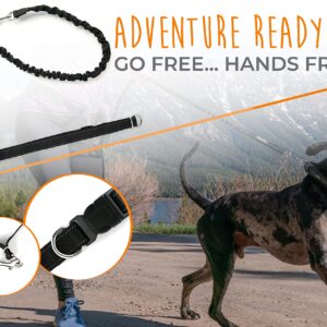 Mighty Paw Hands Free Dog Leash | Bungee Waist Leash for Dog Walking. Dog Running Leash Hands Free. Hands Free Leash for Large Dogs, Medium & Small Dogs. Dog Leash Waist Belt (36" - 48") Up To 150 lbs