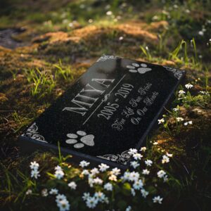 You Left Paw Prints on Our Hearts Pet Memorial Stones Personalized Headstone Grave Marker Absolute Black Granite Garden Plaque Engraved with Dog Cat Name Dates