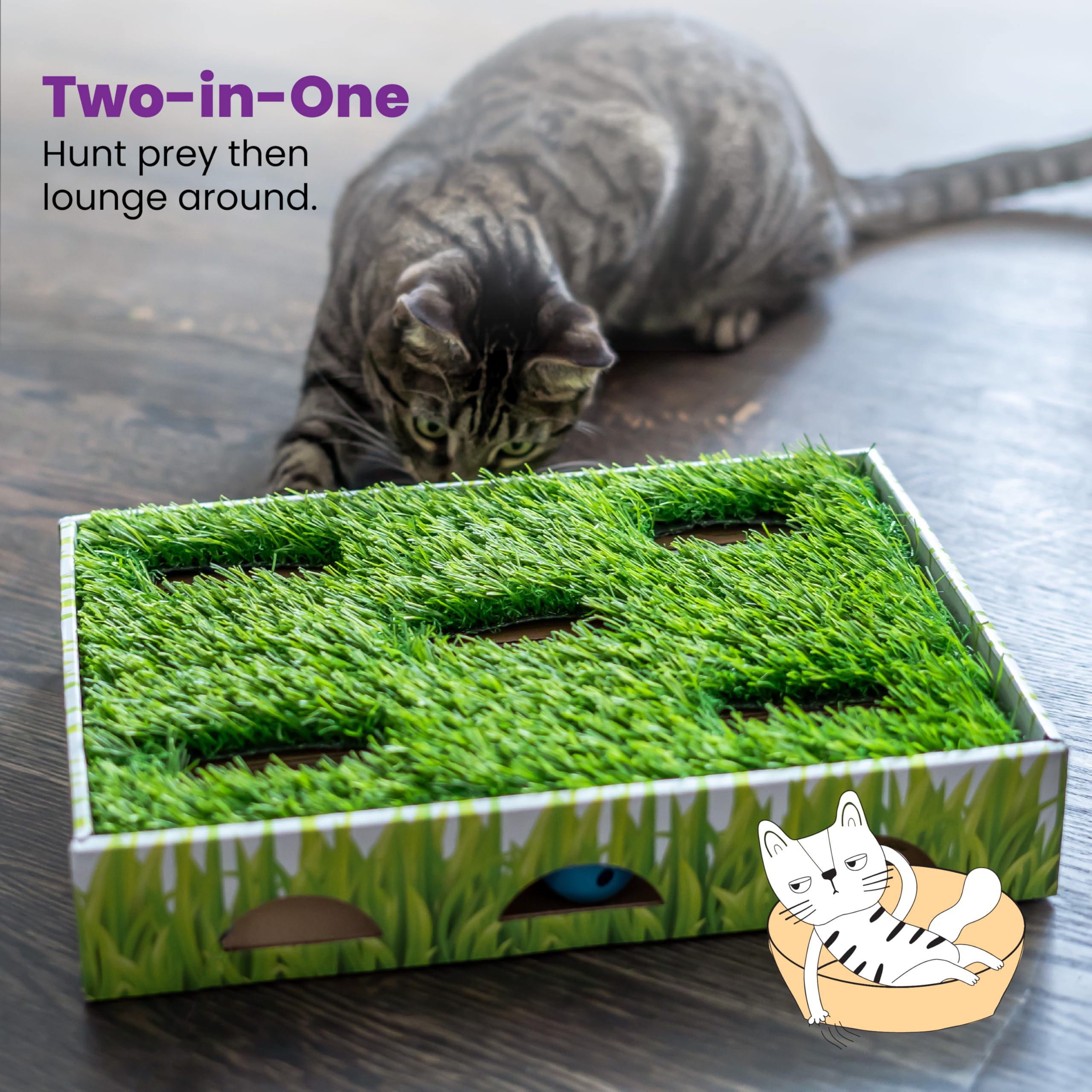 Catstages Grass Patch Hunting Box Cat Toy