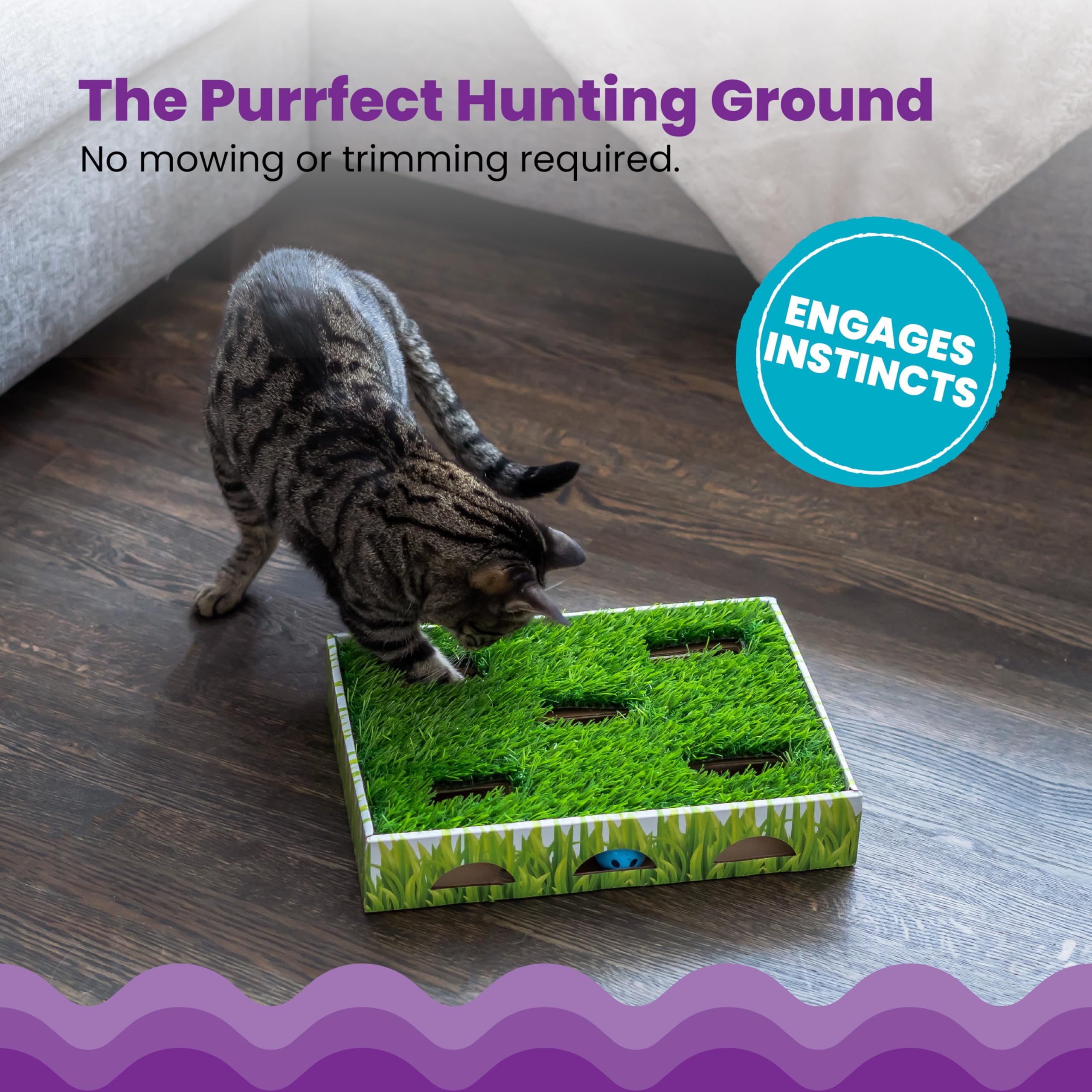 Catstages Grass Patch Hunting Box Cat Toy