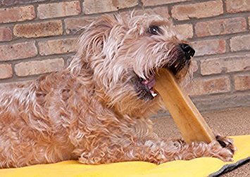 Downtown Pet Supply Yak Cheese Himalayan Dog Chews - Large Yak Chews Rich in Nutrients for Medium to Large Dogs - Long Lasting, Odorless and Easy to Digest Cheese Dog Treats - 1 LB