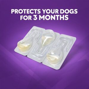 ZoGuard Plus Flea and Tick Prevention for Medium Dogs – Flea & Tick Prevention for Dogs 23-44lbs (3 Doses)