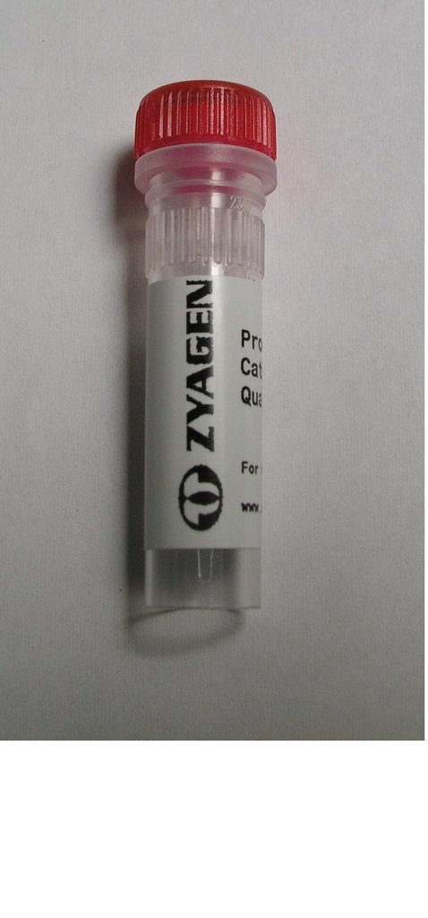 Zyagen Human Thyroid Total RNA, 0.05mg