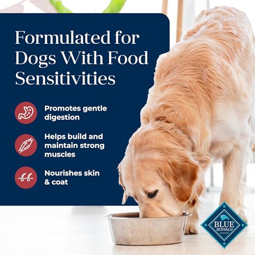 Blue Buffalo Basics Adult Dry Dog Food for Skin & Stomach Care, Limited Ingredient Diet, Made in the USA with Natural Ingredients, Salmon & Potato Recipe, 11-lb. Bag