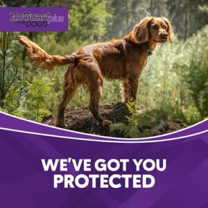 ZoGuard Plus Flea and Tick Prevention for Medium Dogs – Flea & Tick Prevention for Dogs 23-44lbs (3 Doses)