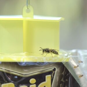 Raid Disposable Wasp Bag Traps (Set of 2 Traps)