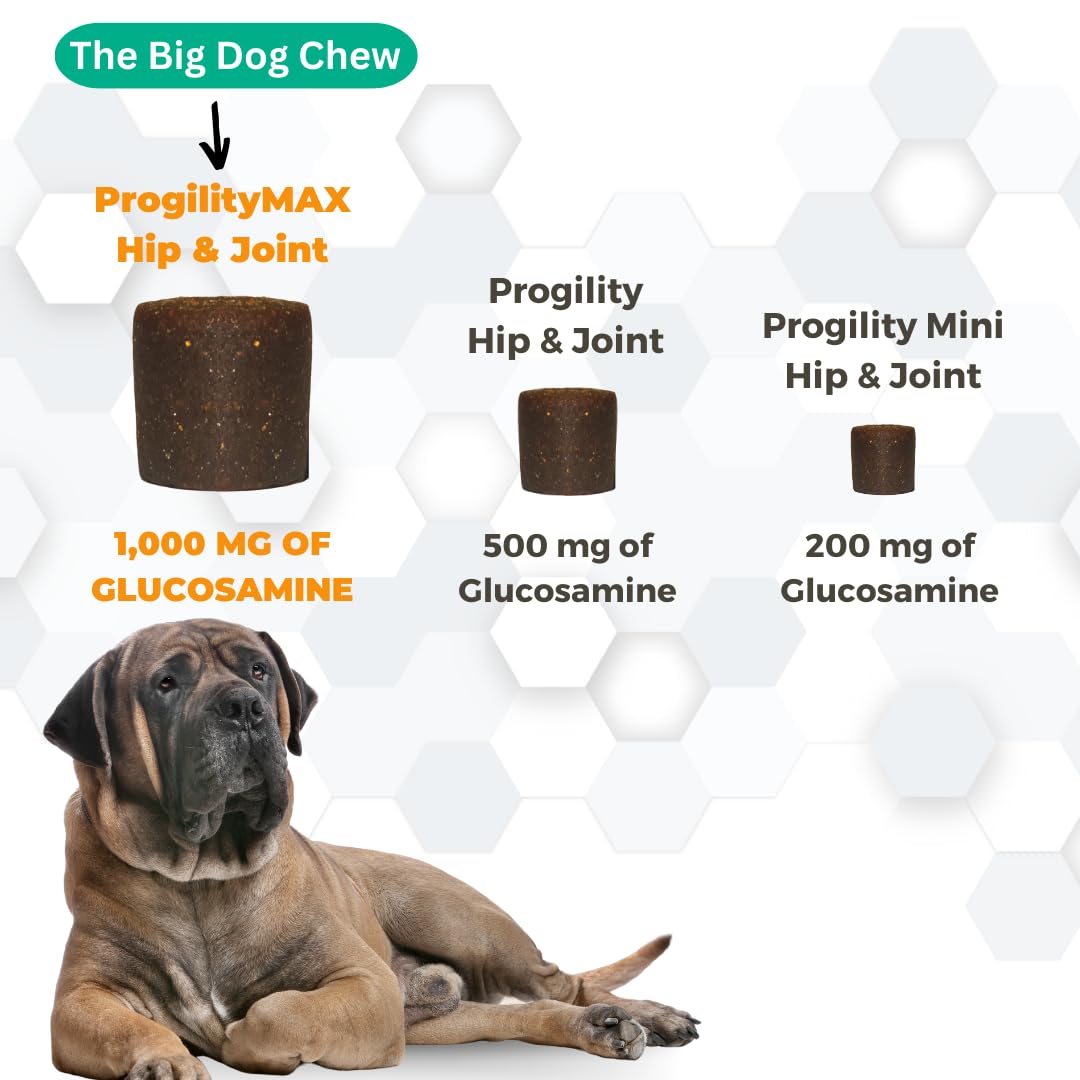 Nootie ProgilityMAX Hip & Joint Supplement for Large Dogs, Maximum Strength Dog Joint Support with Eggshell Membrane, Glucosamine and Chondroitin, 60 Count