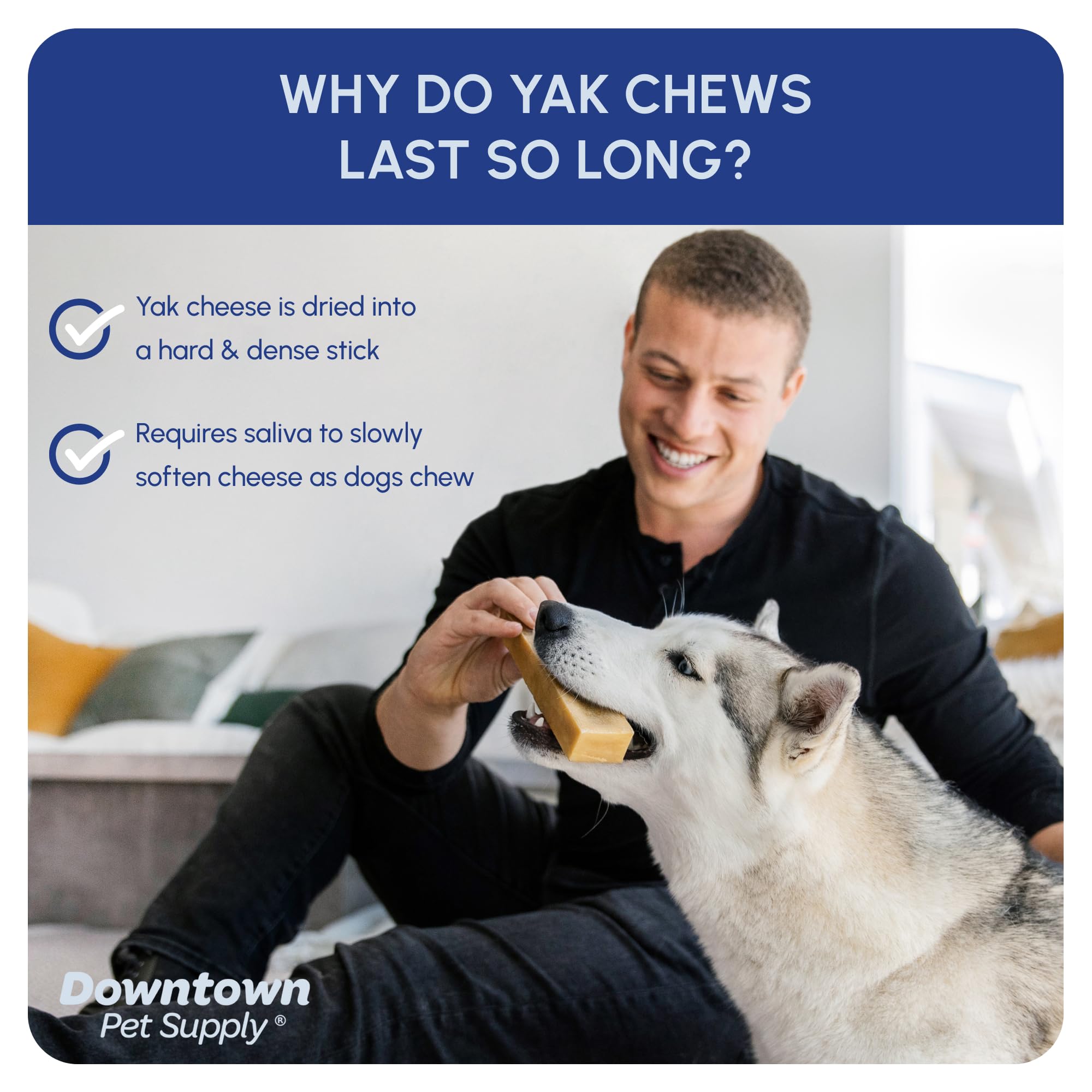 Downtown Pet Supply Yak Cheese Himalayan Dog Chews - Large Yak Chews Rich in Nutrients for Medium to Large Dogs - Long Lasting, Odorless and Easy to Digest Cheese Dog Treats - 2 LB