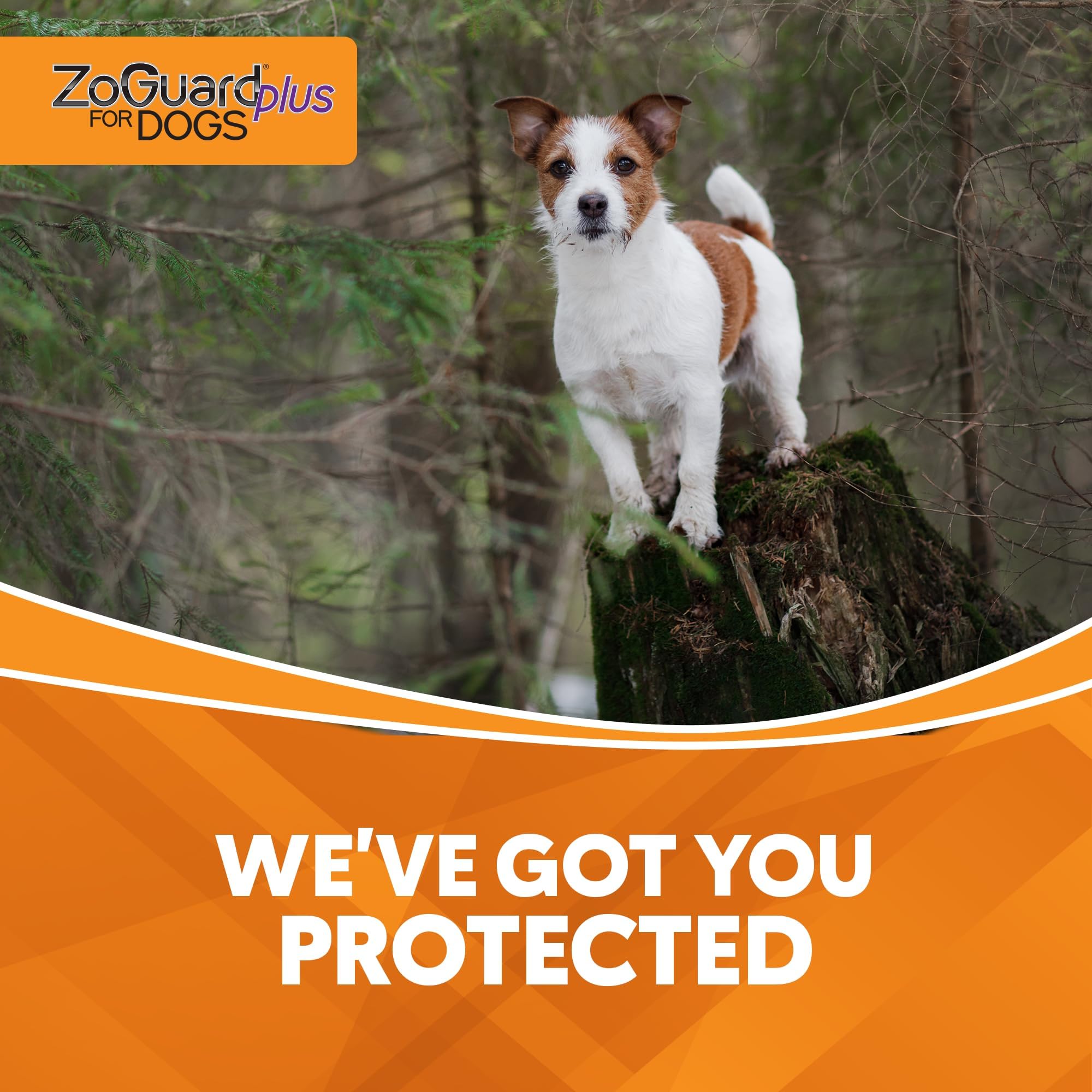 ZoGuard Plus Flea and Tick Prevention for Small Dogs - Flea and Tick Prevention for Dogs 5-22lbs (3 Doses)