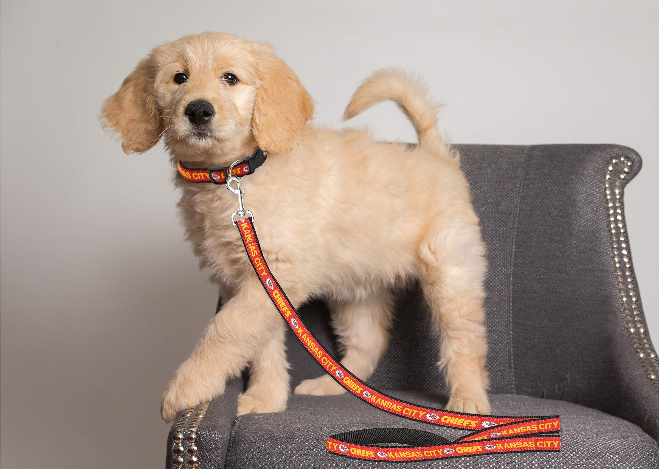 NFL PET Leash, Medium, Kansas City Chiefs Dog Leash, Football Team Leash for Dogs & Cats. A Shiny & Colorful Dog & Cat Leash with Embroidered Team Name/Logo Licensed by the NFL