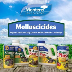 Monterey Sluggo Wildlife and Pet Friendly Snail & Slug Killer, OMRI Listed for Organic Gardening - 2.5-Pounds