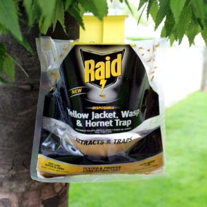 Raid Disposable Wasp Bag Traps (Set of 2 Traps)