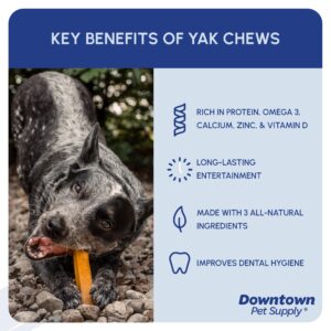 Downtown Pet Supply Yak Cheese Himalayan Dog Chews - Large Yak Chews Rich in Nutrients for Medium to Large Dogs - Long Lasting, Odorless and Easy to Digest Cheese Dog Treats - 1 LB