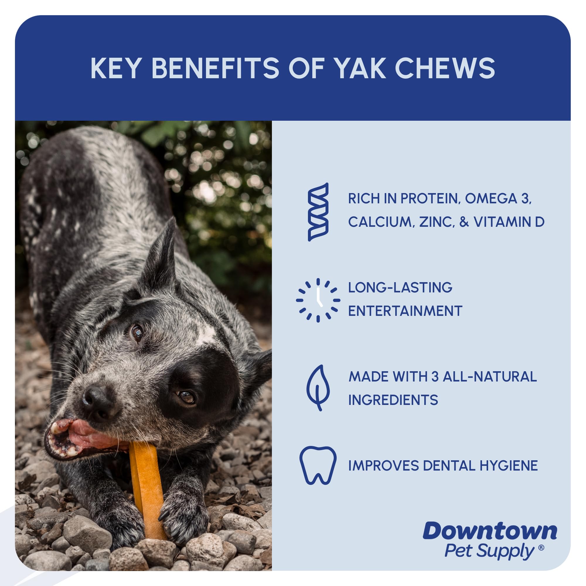 Downtown Pet Supply Yak Cheese Himalayan Dog Chews - Large Yak Chews Rich in Nutrients for Medium to Large Dogs - Long Lasting, Odorless and Easy to Digest Cheese Dog Treats - 1 LB