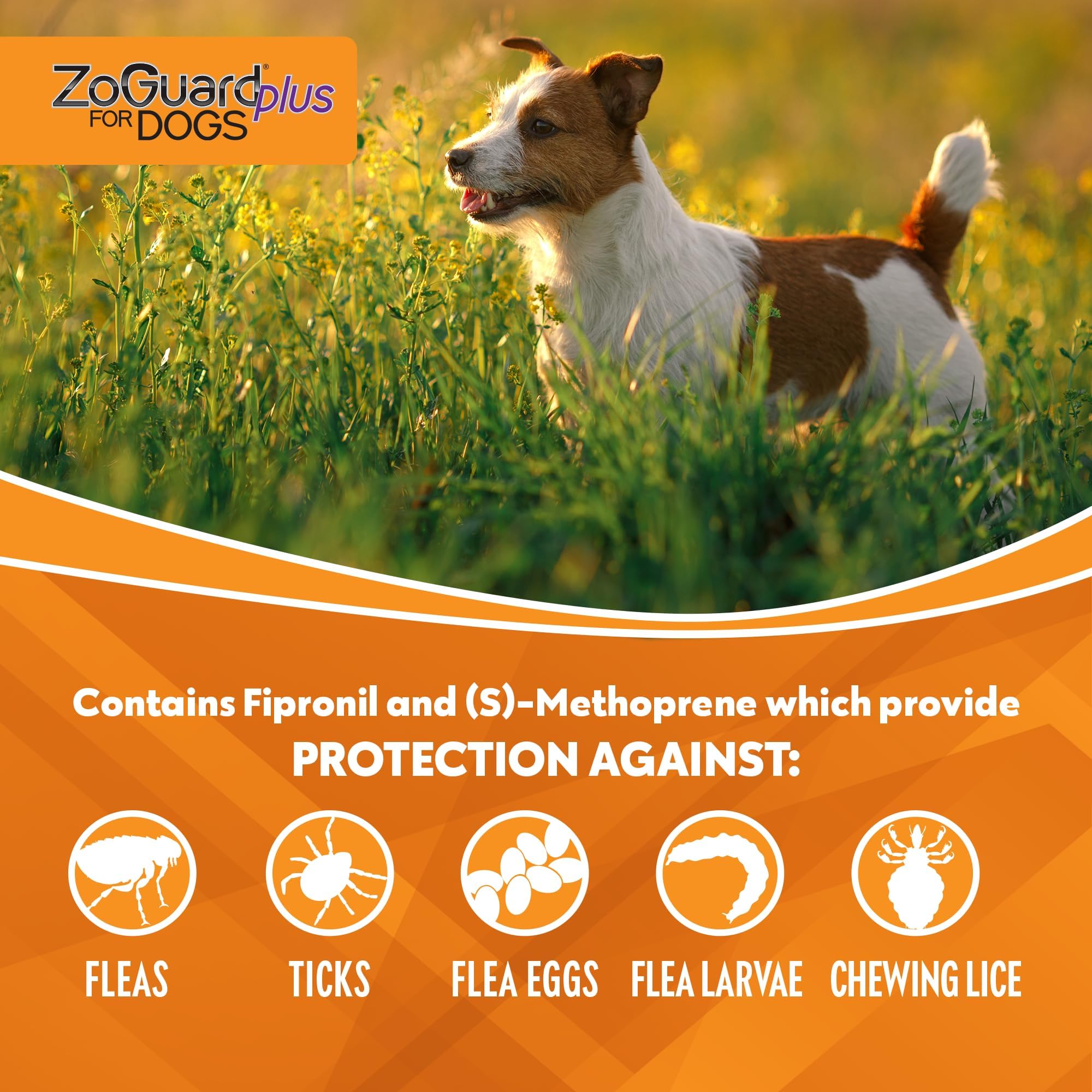 ZoGuard Plus Flea and Tick Prevention for Small Dogs - Flea and Tick Prevention for Dogs 5-22lbs (3 Doses)