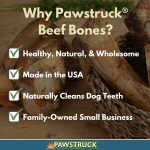 Pawstruck Natural 8-9” Meaty Bones for Dogs – Premium Single Ingredient Beef Femur Healthy Chew Made in USA – 1 Count