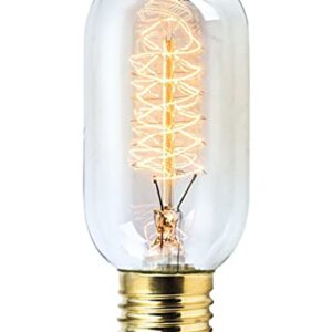 Rolay Vintage Edison Bulbs, 25W Clear Glass Antique Vintage Old Fashioned E26 Incandescent Light Bulbs, 1 Pack