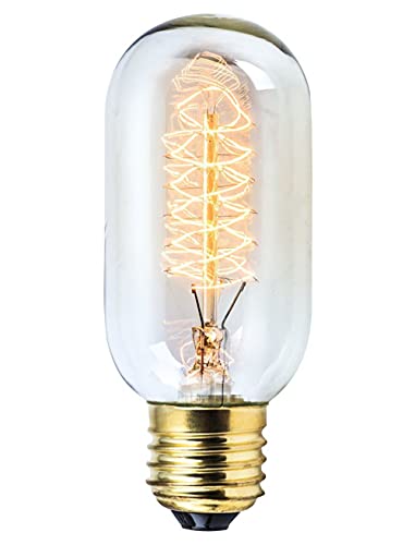 Rolay Vintage Edison Bulbs, 25W Clear Glass Antique Vintage Old Fashioned E26 Incandescent Light Bulbs, 1 Pack