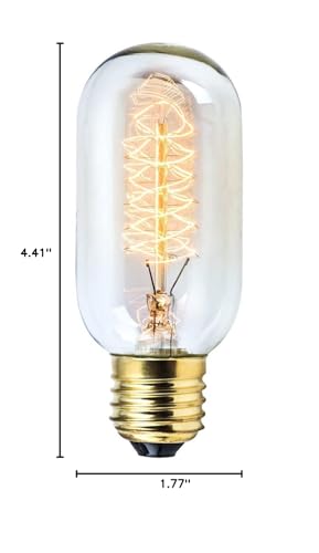 Rolay Vintage Edison Bulbs, 25W Clear Glass Antique Vintage Old Fashioned E26 Incandescent Light Bulbs, 1 Pack