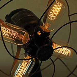 Rolay Vintage Edison Bulbs, 25W Clear Glass Antique Vintage Old Fashioned E26 Incandescent Light Bulbs, 1 Pack