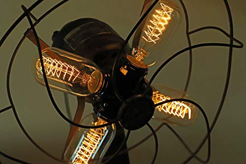 Rolay Vintage Edison Bulbs, 25W Clear Glass Antique Vintage Old Fashioned E26 Incandescent Light Bulbs, 1 Pack