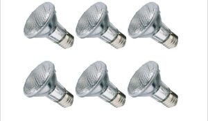 beelite 6-pack halogen par20 39 watt (50w replacement), dimmable, 120 volt, 40 degree flood, light bulb, 6 pk