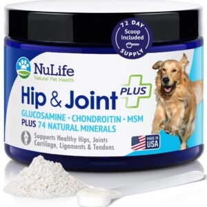 Advanced Glucosamine Powder for Dogs for Arthritis Pain Relief & Hip Dysplasia, Supports Joint Health & Reduces Inflammation with Glucosamine, Chondroitin, MSM & Coral Calcium, 6oz Powder