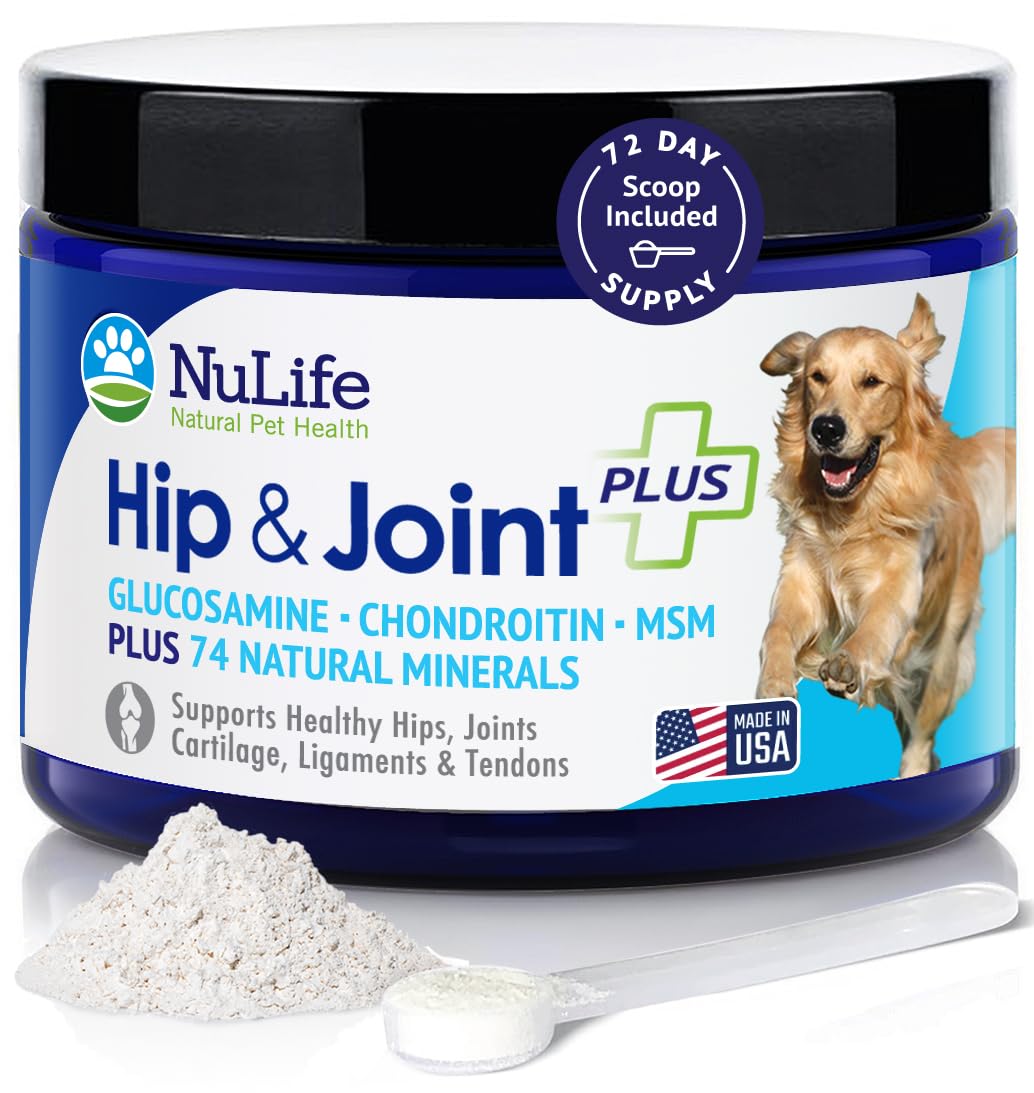 Advanced Glucosamine Powder for Dogs for Arthritis Pain Relief & Hip Dysplasia, Supports Joint Health & Reduces Inflammation with Glucosamine, Chondroitin, MSM & Coral Calcium, 6oz Powder