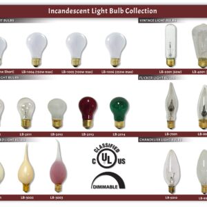 Royal Designs LB-2001-2 Clear Edison Incandescent Vintage Style 60-Watt T10 E26 120V Light Bulb, 2 pack