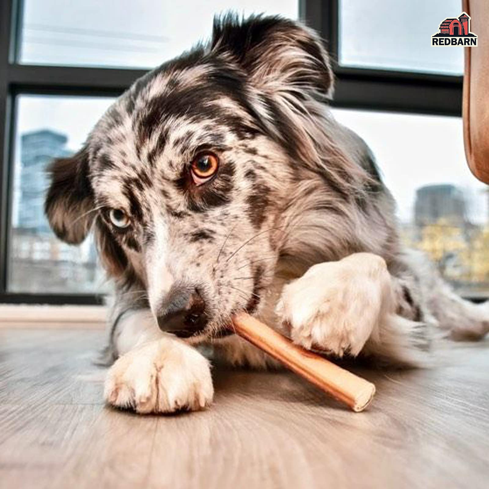 Redbarn Straight 5" Bully Sticks - Long Lasting Dog Chew | All Natural & Odorless Bully Bones (1 Pound)