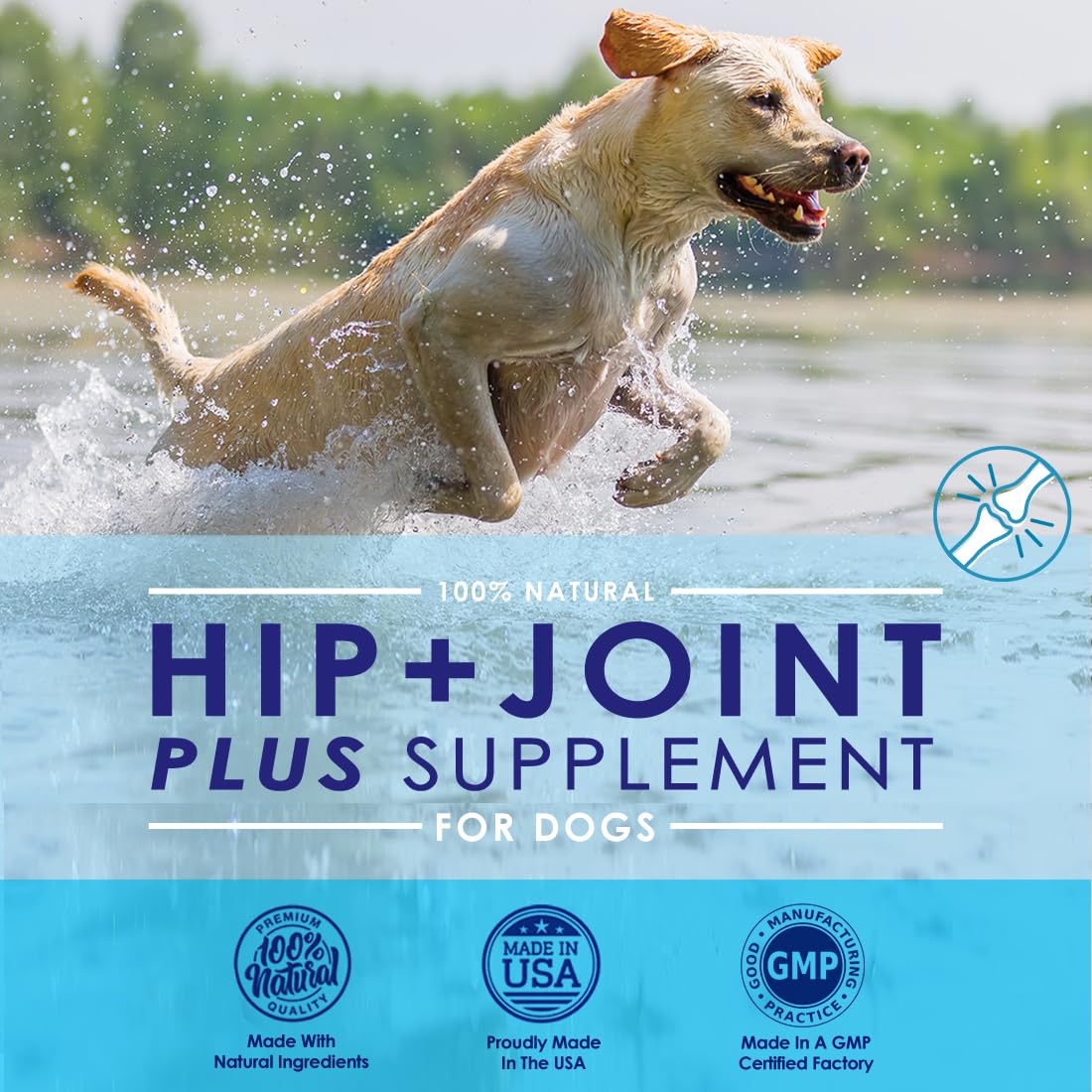 Advanced Glucosamine Powder for Dogs for Arthritis Pain Relief & Hip Dysplasia, Supports Joint Health & Reduces Inflammation with Glucosamine, Chondroitin, MSM & Coral Calcium, 6oz Powder