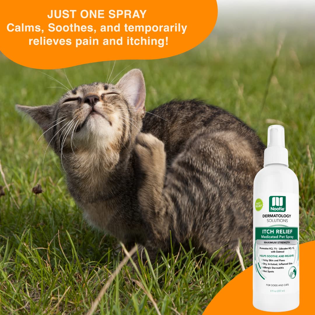 Nootie Medicated Anti-itch Spray, Itch Relief & Skin Care for Dogs & Cats, Formulated for Veterinarians, Sold in over 10,000 Clinics & Stores Worldwide, 8 fl oz