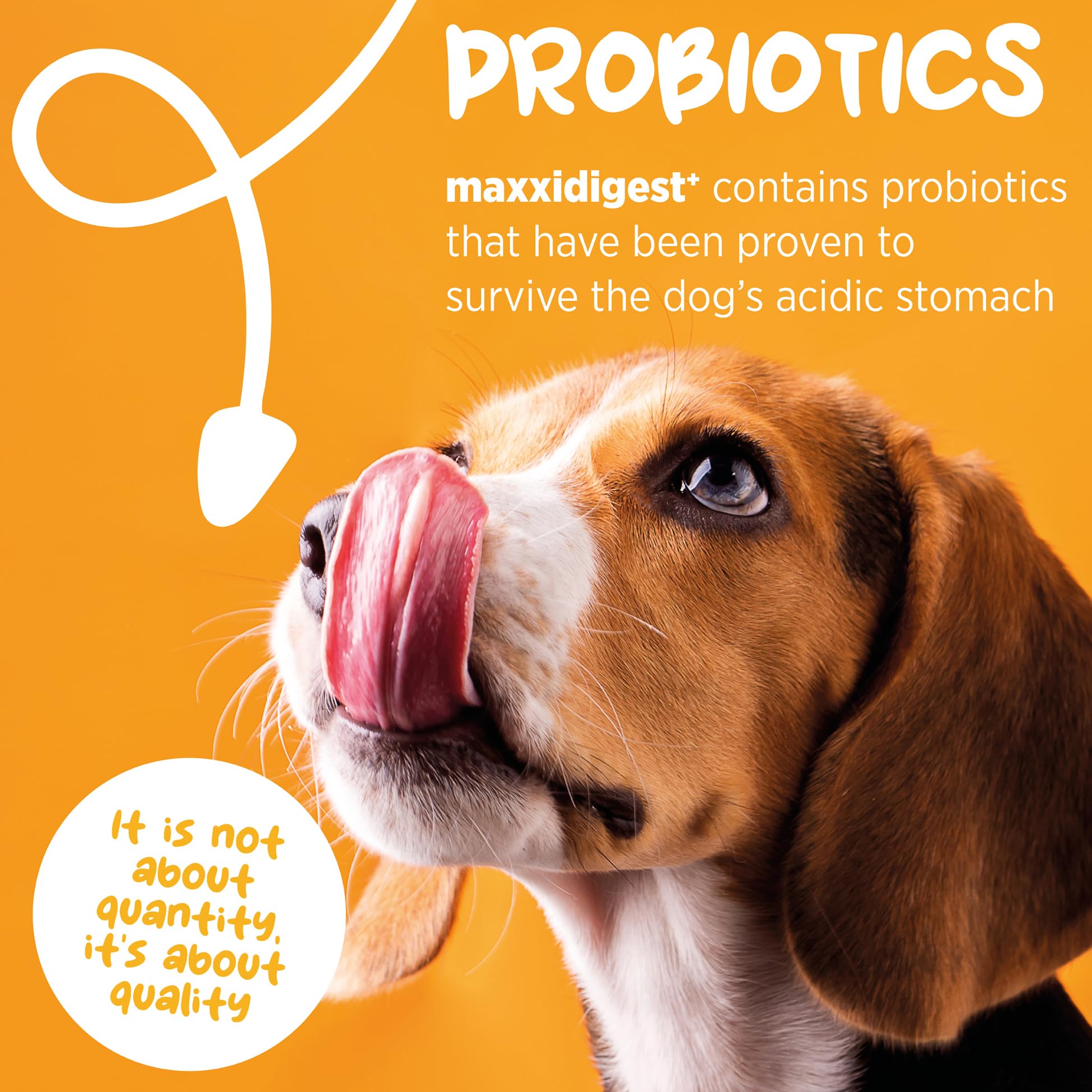 maxxipaws maxxidigest+ Probiotic & Prebiotic Powder Supplement - Digestive & Immune Support for Dogs, 13.2oz