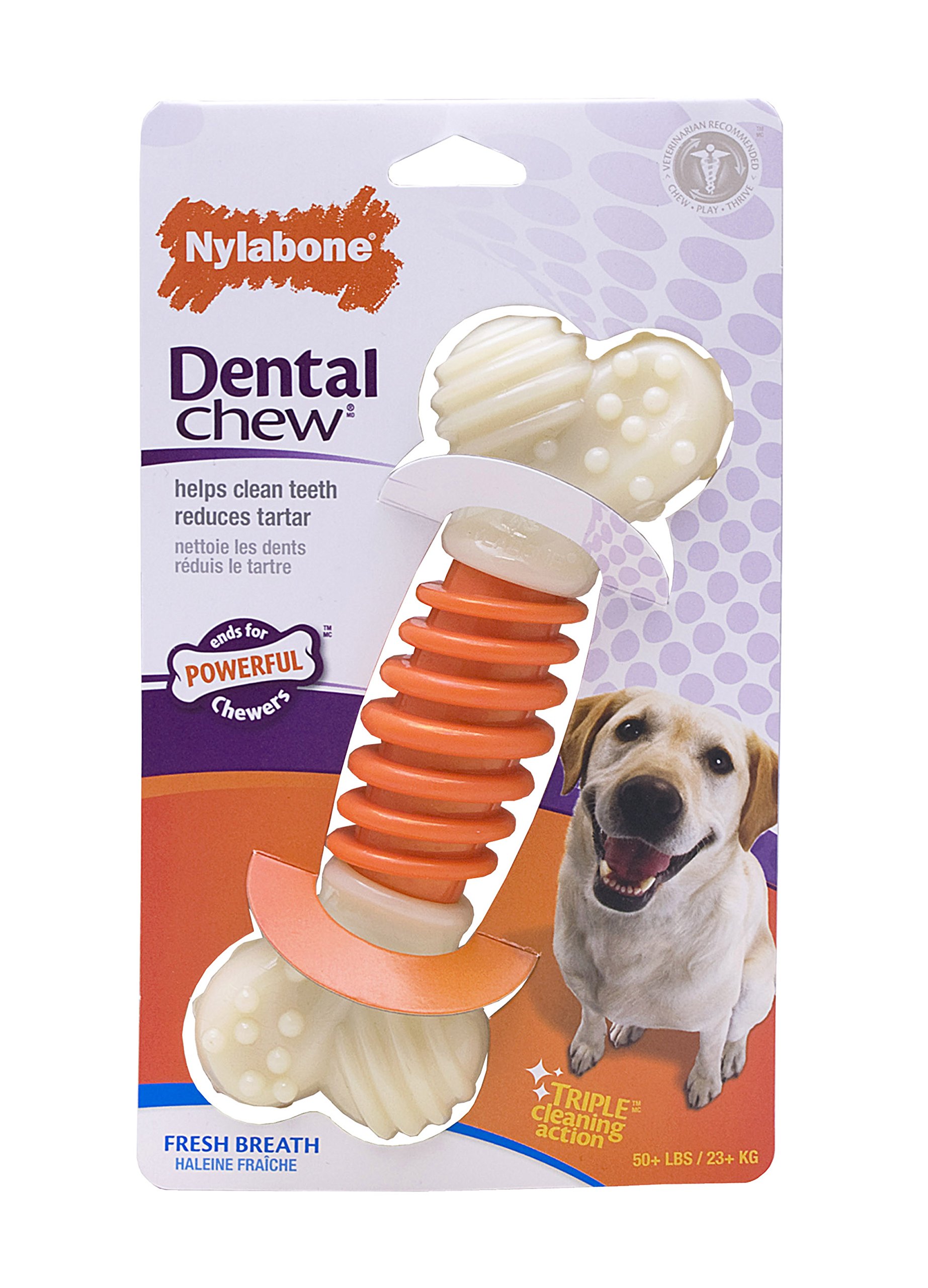 Nylabone Dental Pro Action Bone Dog Chew Toy, Bacon, Large