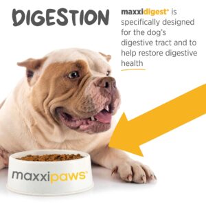 maxxipaws maxxidigest+ Probiotic & Prebiotic Powder Supplement - Digestive & Immune Support for Dogs, 13.2oz