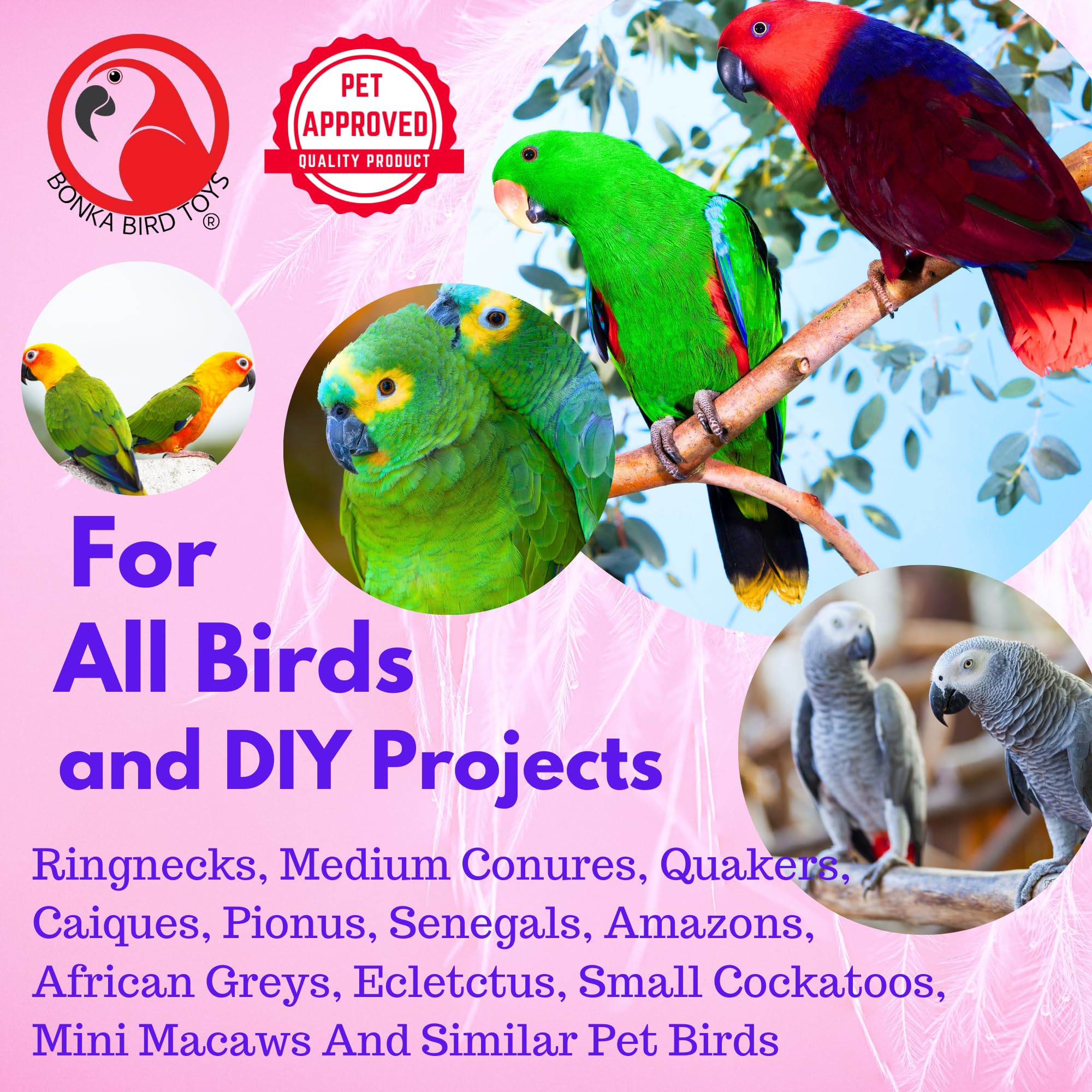 1222 24pk Foraging Card Crumbles Bonka Bird Toys Foot Talon Bird Parrot Parrotlet Quaker Budgie