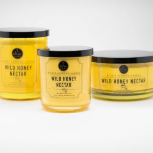 DW Home Large Double Wick Candle, Wild Honey Nectar