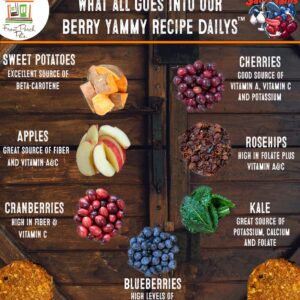 Sams Yams Sweet Potato Dog Treats, Healthy Dog Treats for Large, Medium or Small Breed Dogs, Vegan Sweet Potato Dog Chews Made in USA - Sam's Yams DAILY's Berry Yammy Recipe Dog Snacks, 7oz