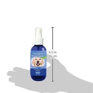 Davis DentaMed Breath Spray, 4 oz (DBSP04)