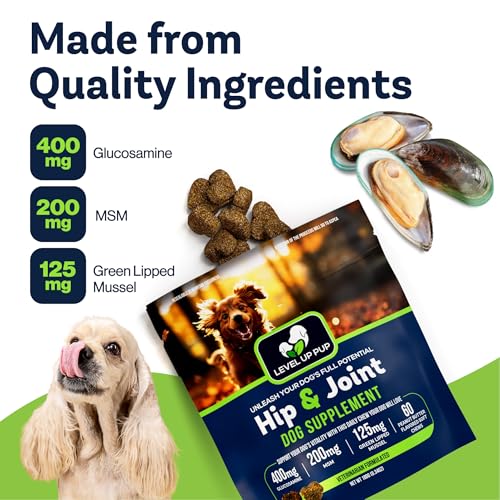 Level Up Pup Dog Hip & Joint Supplement and Inflammation Relief with Glucosamine, Chondroitin, MSM, Hyaluronic Acid, Green Lipped Mussel, Turmeric, and Vitamin E. 60 Peanut Butter Flavor Soft Chews.