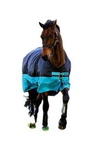 horseware ireland mio t/o lite, color: black/turq & black, size: 72 (aasa41-kctk-72)