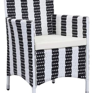 Safavieh Outdoor Collection Figueroa Black and White 4-Piece Patio Set