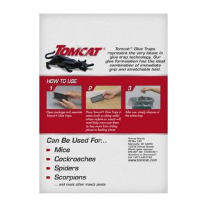 Tomcat Mouse Trap with Immediate Grip Glue for Mice, Cockroaches, and Spiders, Ready-to-Use, 2-Pack (8 Glue Traps)