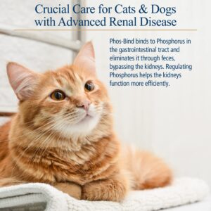 Rx Vitamins Phos-Bind - Kidney Support Supplement Powder - Phosphate Binder for Cats & Dogs for Kidney Health - Supports Normal Kidney Cleanse and Essential Kidney Care - 35g