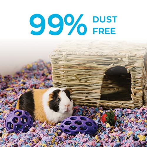 Carefresh 99% Dust-Free Confetti Natural Paper Small Pet Bedding with Odor Control, 10 L