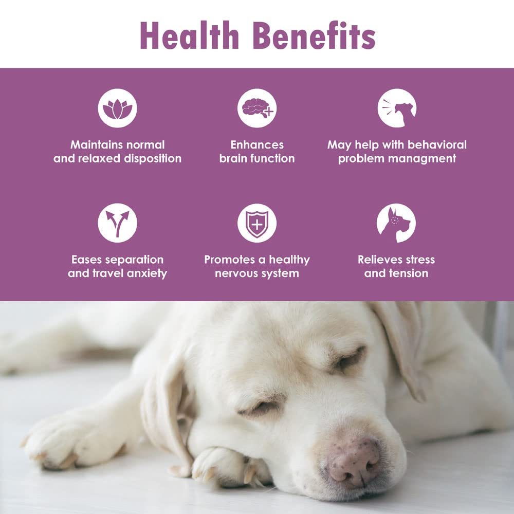 TranQuil-Chews for Dogs - Contains Chamomile, L-Tryptophan, and Melatonin - Relieves Stress and Tension - Ease Travel and Separation Anxiety - 180 Soft Chews